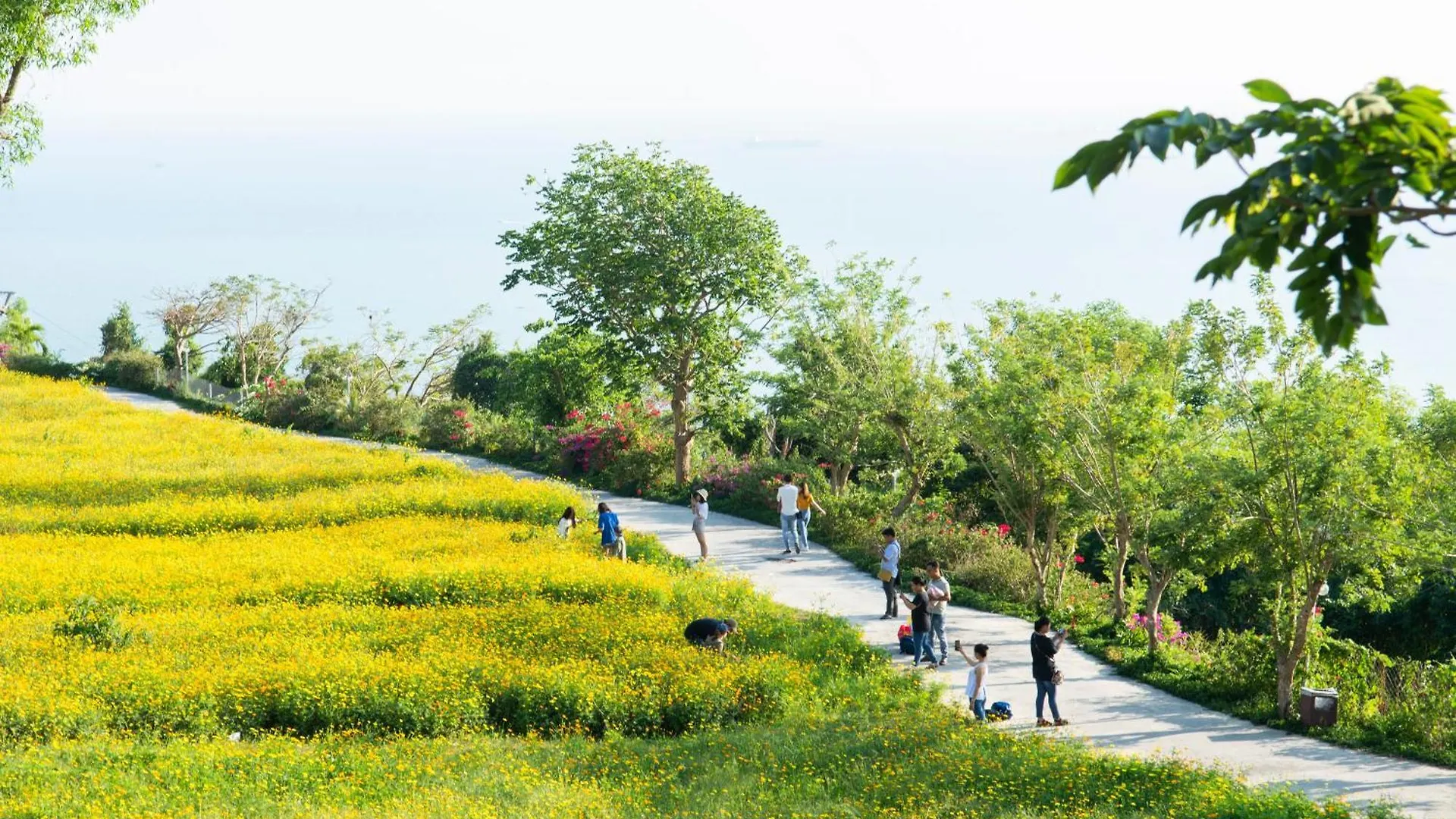 Ho May Park Vung Tau Khach San - Resort 3*,  Vietnam